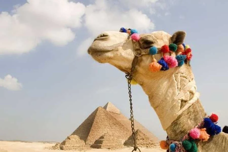 13 Days Egypt Holidays