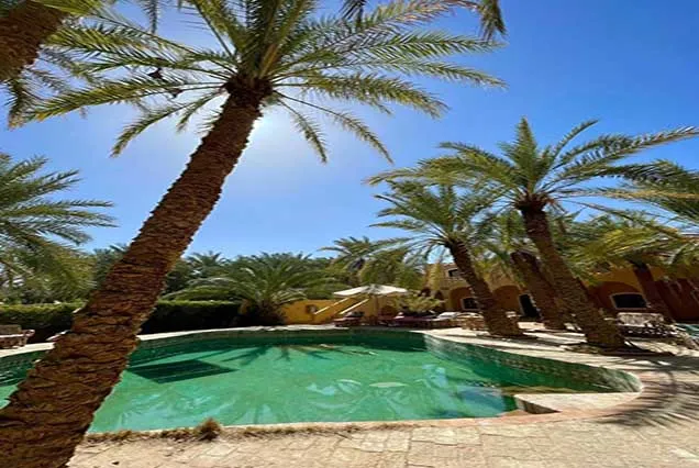 The Magical 4-Day Siwa Oasis Escape: Ancient Fortresses, Healing Salt Lakes & Great Sand Sea Safari