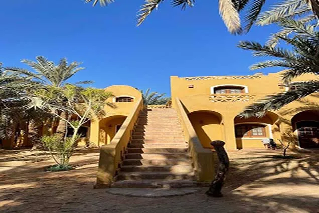 The Magical 4-Day Siwa Oasis Escape: Ancient Fortresses, Healing Salt Lakes & Great Sand Sea Safari