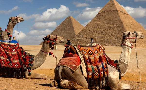 5 Reasons to Need a Professional Tour Operator for Egypt