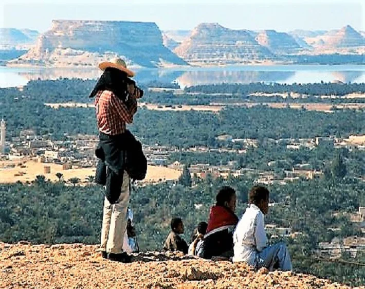 6 Best National Parks in Egypt You Should Visit: Explore Natural Wonders