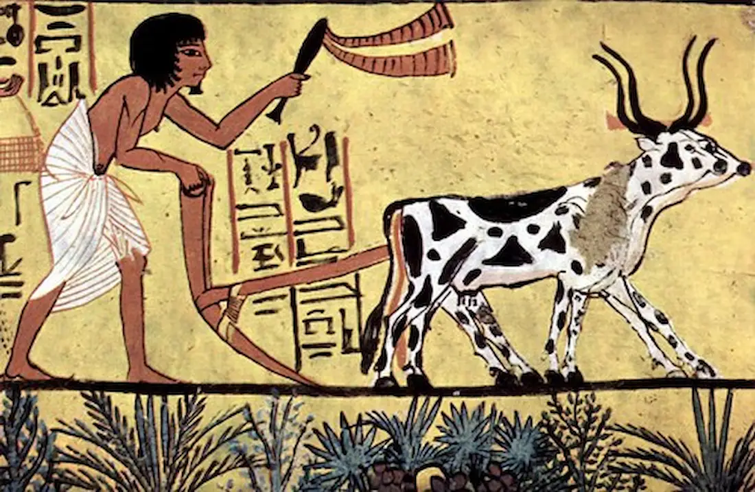 Ancient Egypt Farmers: 10 Secrets of the Nile's Backbone