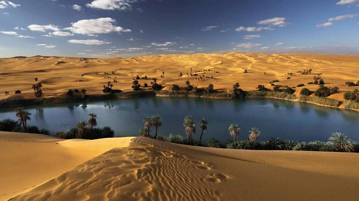Bahariya Oasis: Complete Guide to Egypt's Desert Jewel