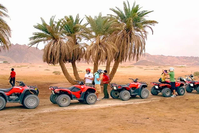 Elite Quad Biking and Desert Safari Experience in Sharm El Sheikh