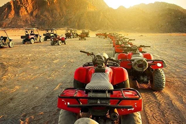 Elite Quad Biking and Desert Safari Experience in Sharm El Sheikh