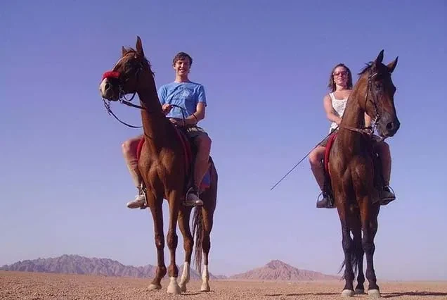 Dahab Horse Riding Tour