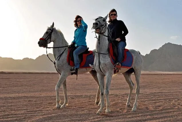 Dahab Horse Riding Tour