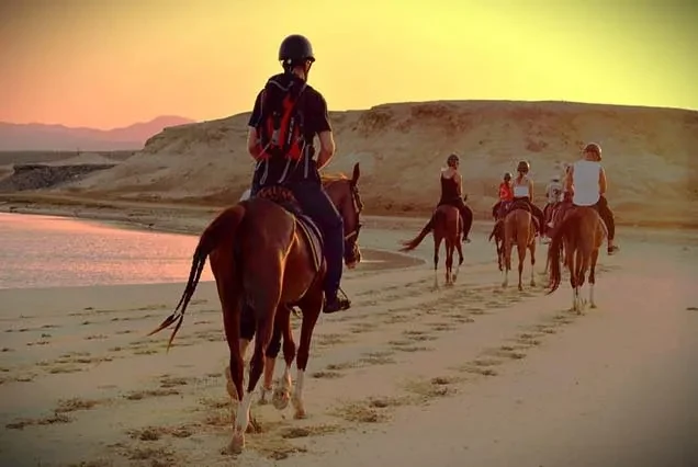 Dahab Horse Riding Tour