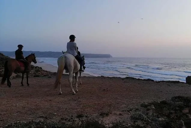Dahab Horse Riding Tour