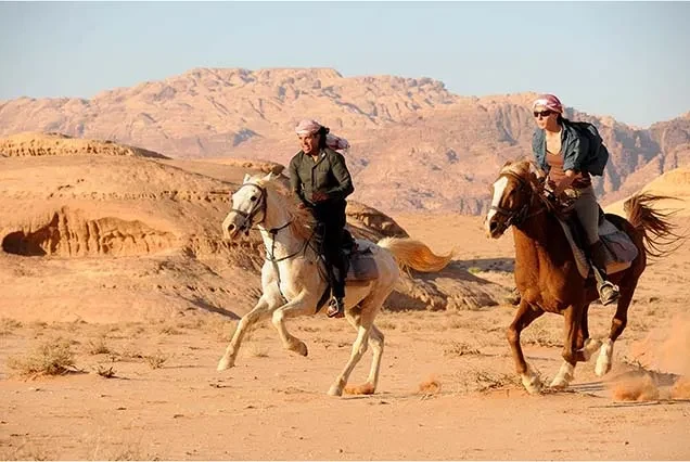 Dahab Horse Riding Tour