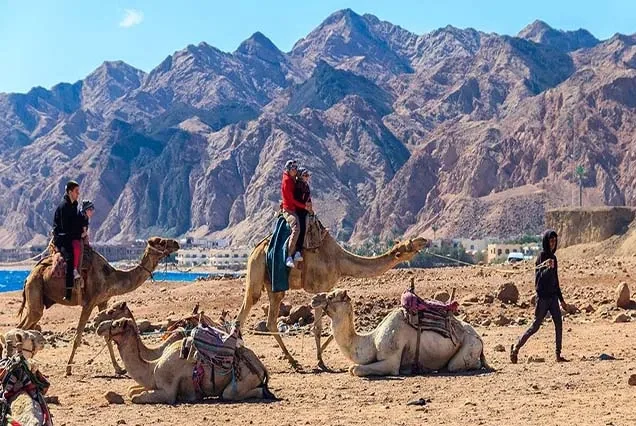 Dahab Horse Riding Tour