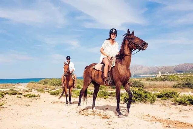 Dahab Horse Riding Tour
