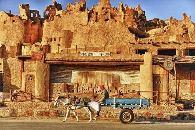 Egypt Oasis Tour