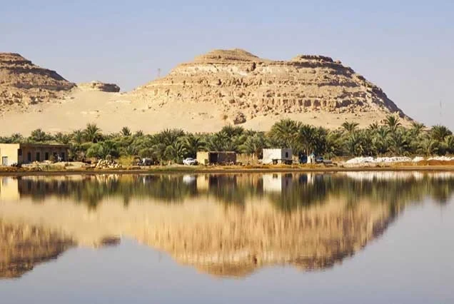 Egypt Oasis Tour