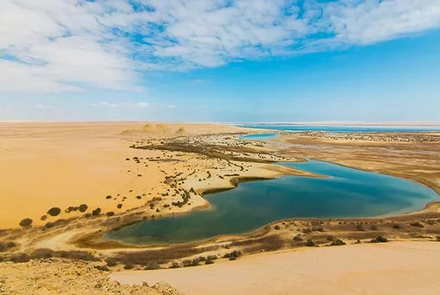Egypt Oasis Tour