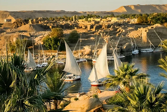Fly From Cairo to Aswan | Private Day Tour to Pyramids & Egyptian Museum