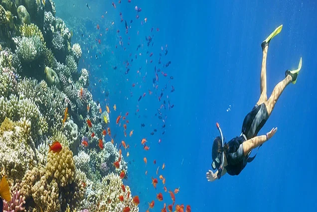 Private Boat Trip to Hamata Islands From Marsa Alam with Snorkeling
