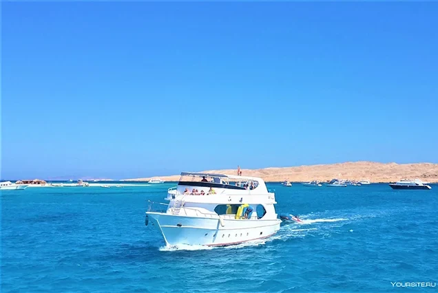 Elite Scuba Diving Marsa Alam Expedition
