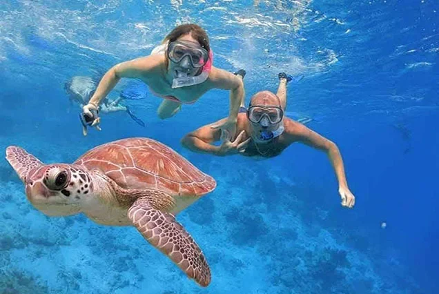 Elite Scuba Diving Marsa Alam Expedition
