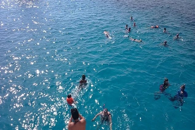 Elite Scuba Diving Marsa Alam Expedition