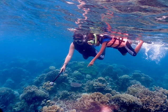 Elite Scuba Diving Marsa Alam Expedition