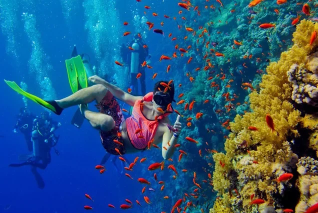 Elite Scuba Diving Marsa Alam Expedition