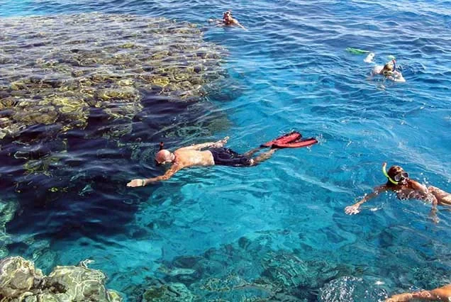 Elite Snorkeling Trip to Tiran Island from Sharm El Sheikh