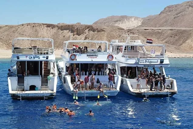 Elite Snorkeling Trip to Tiran Island from Sharm El Sheikh