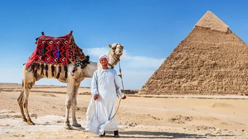 Travel Package from Cairo 12-Day Grand Egypt, Alexandria & El Alamein Expedition
