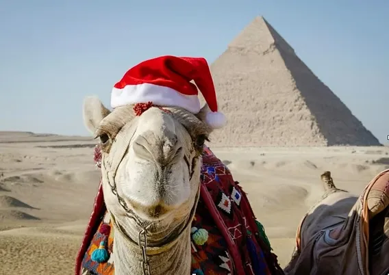 Practical Tips for Your Christmas Cairo Trip