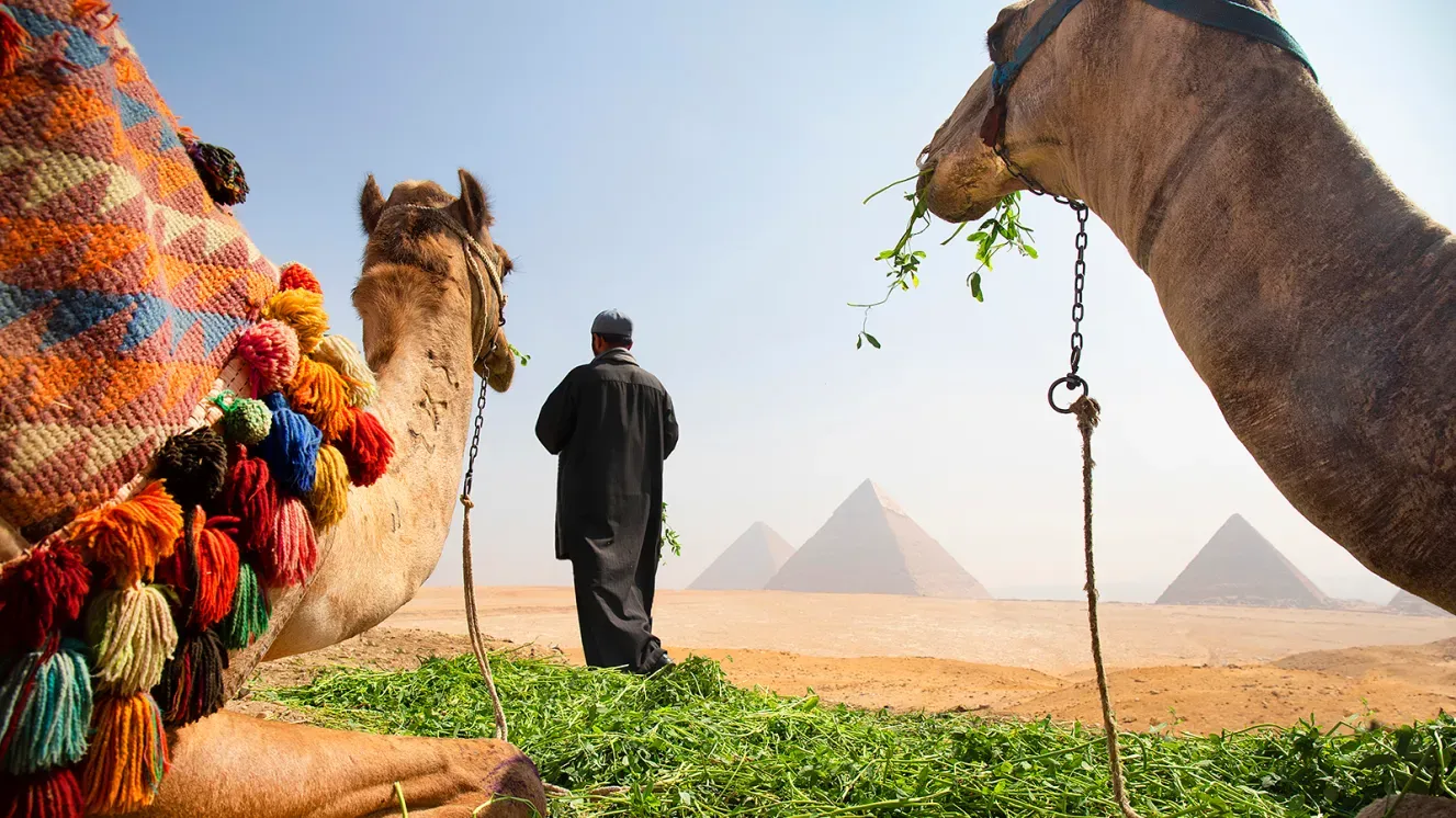 The Numbers Behind Cairo October Weather
