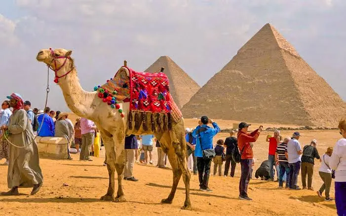 Cairo in January 2026 | Mild Days, Quiet Wonders, and a City That Feels Like Yours