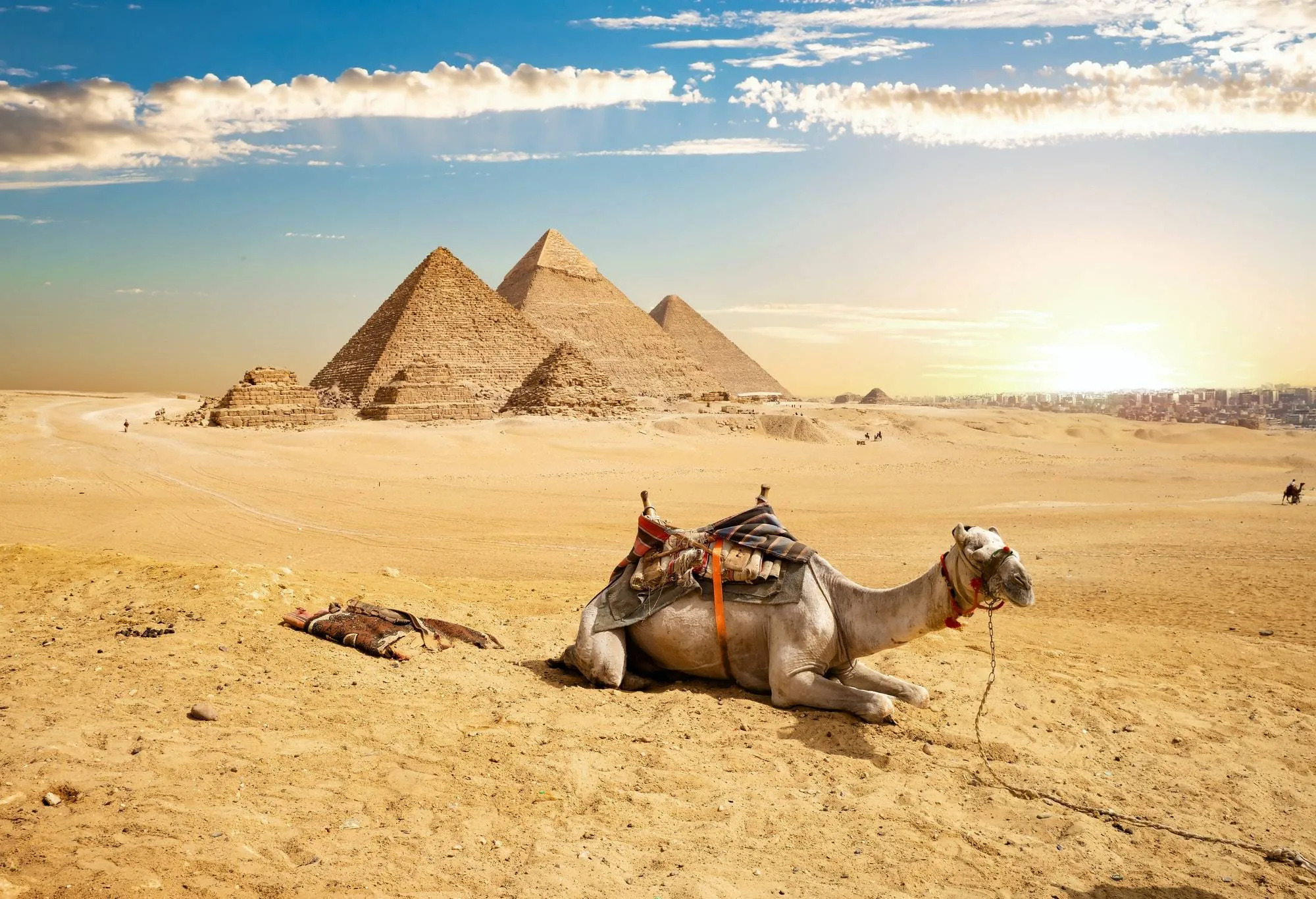 Cairo in September 2027: Plan by Neighborhood