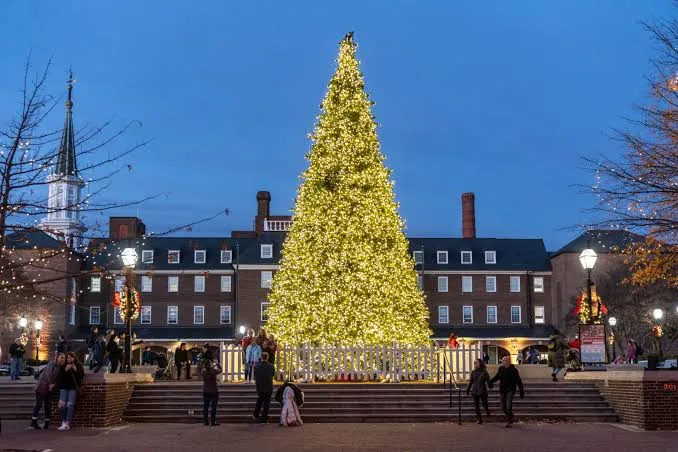 Why Alexandria Shines During the Festive Season