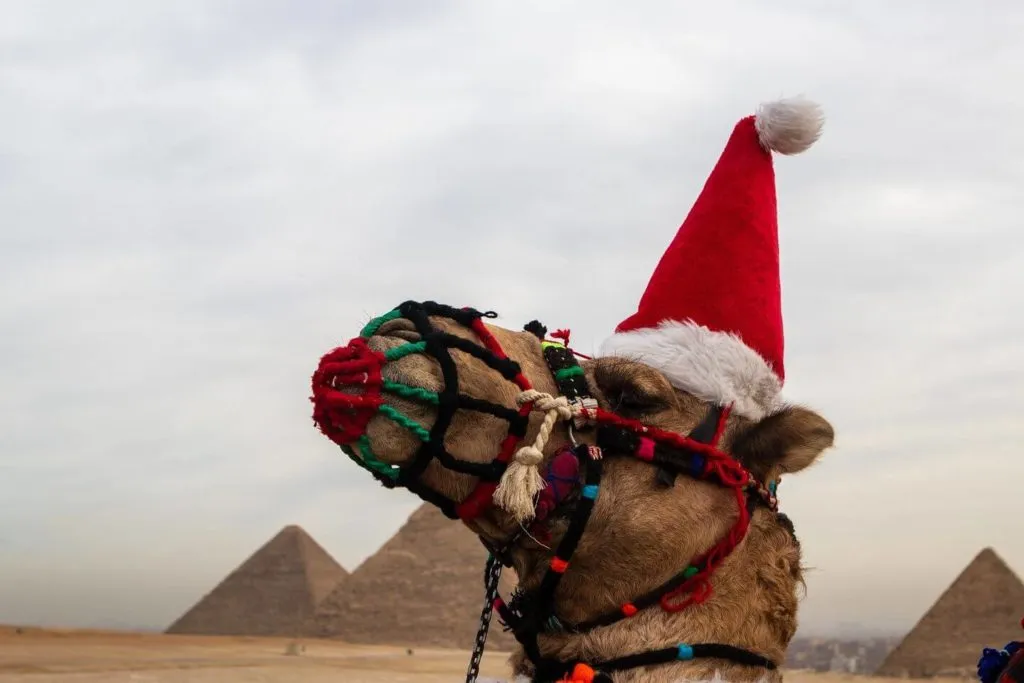 Egypt and Christmas | How to Spend Christmas in Egypt?