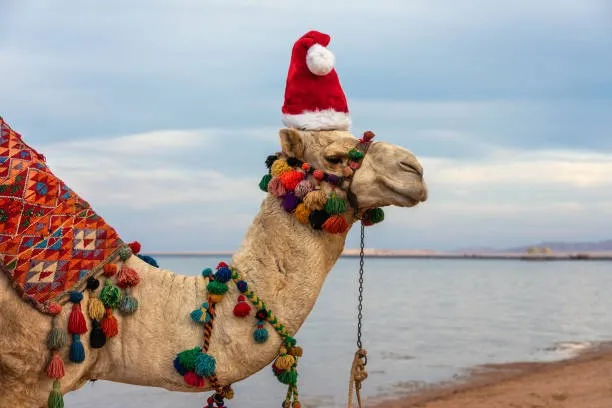 Christmas celebrations in Egypt 
