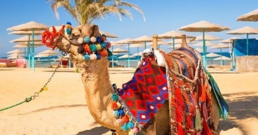 Best Activities for April in Hurghada