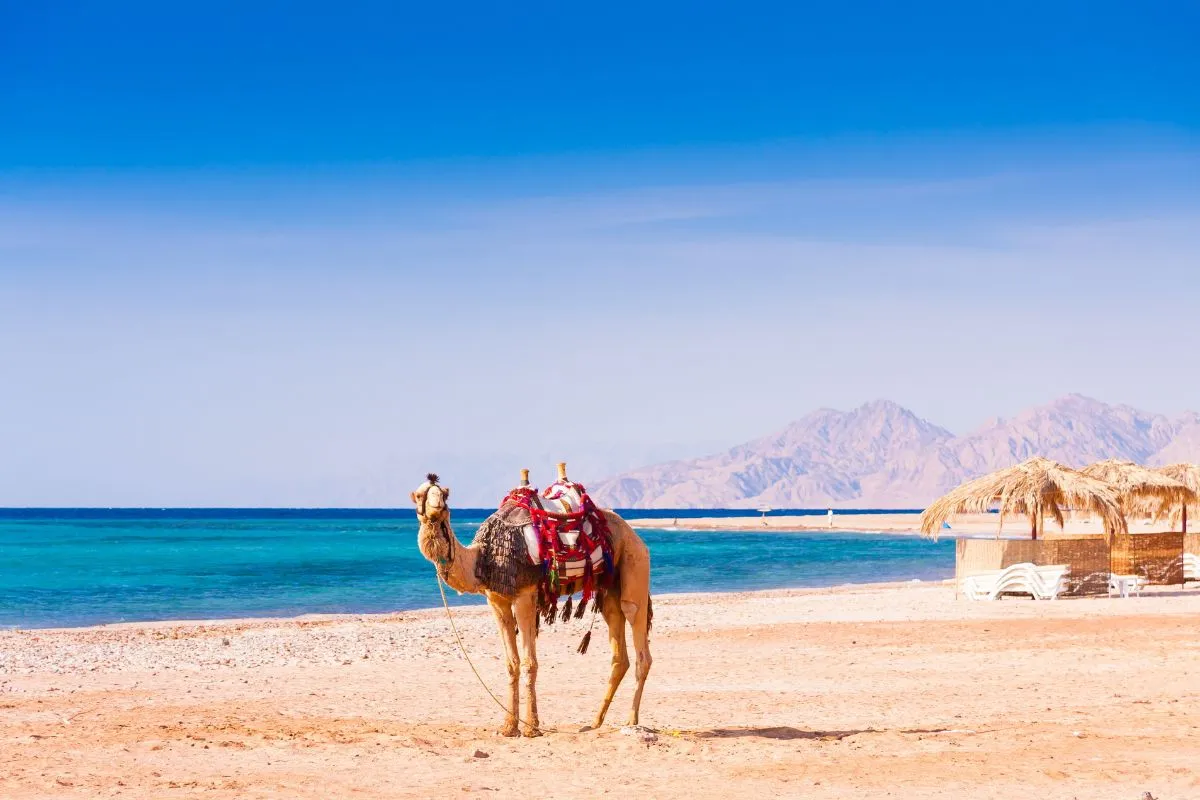 Hurghada in April Compared With March and May