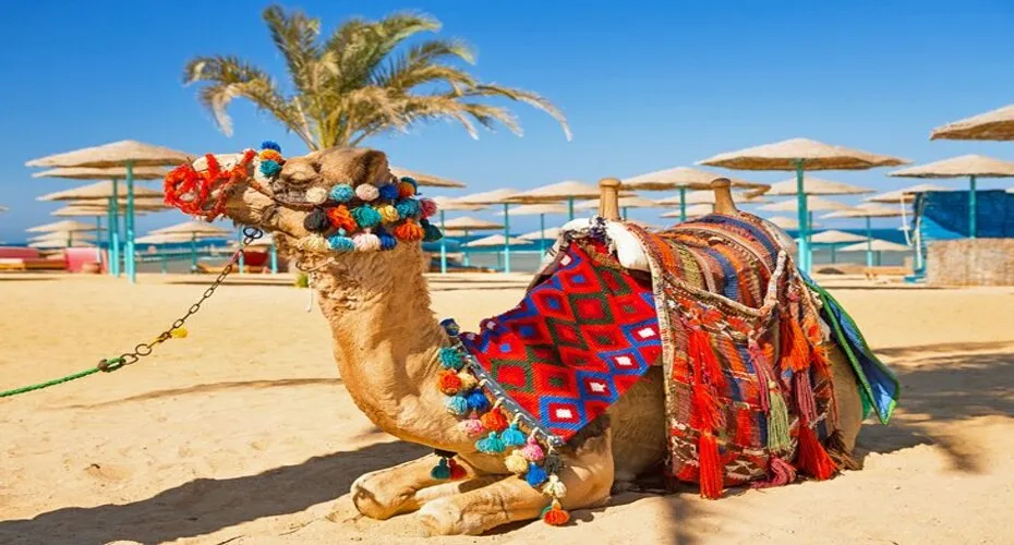 Hurghada in February 2027 | An Honest Ledger of Credits and Debits