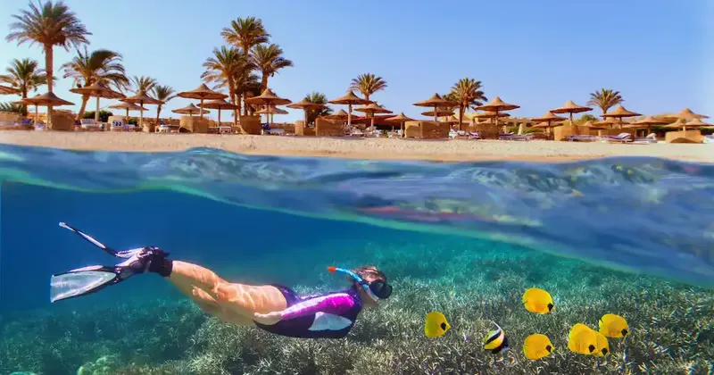 Marsa Alam Weather in August 2027 | Heat and Reef Guide