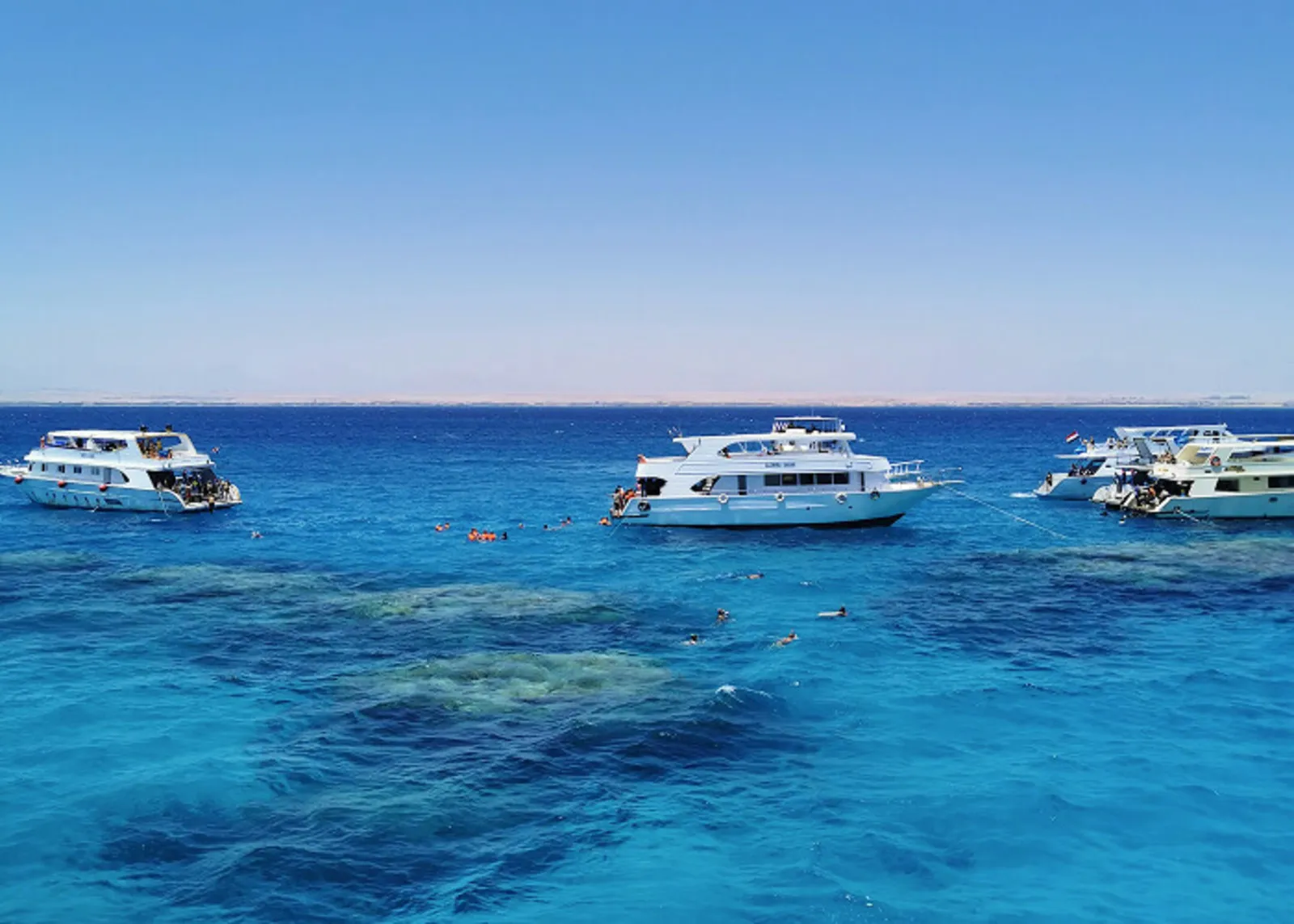 Types of Hurghada New Year Celebrations