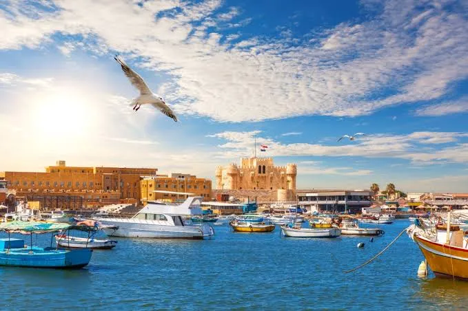 New Year Party in Alexandria Egypt