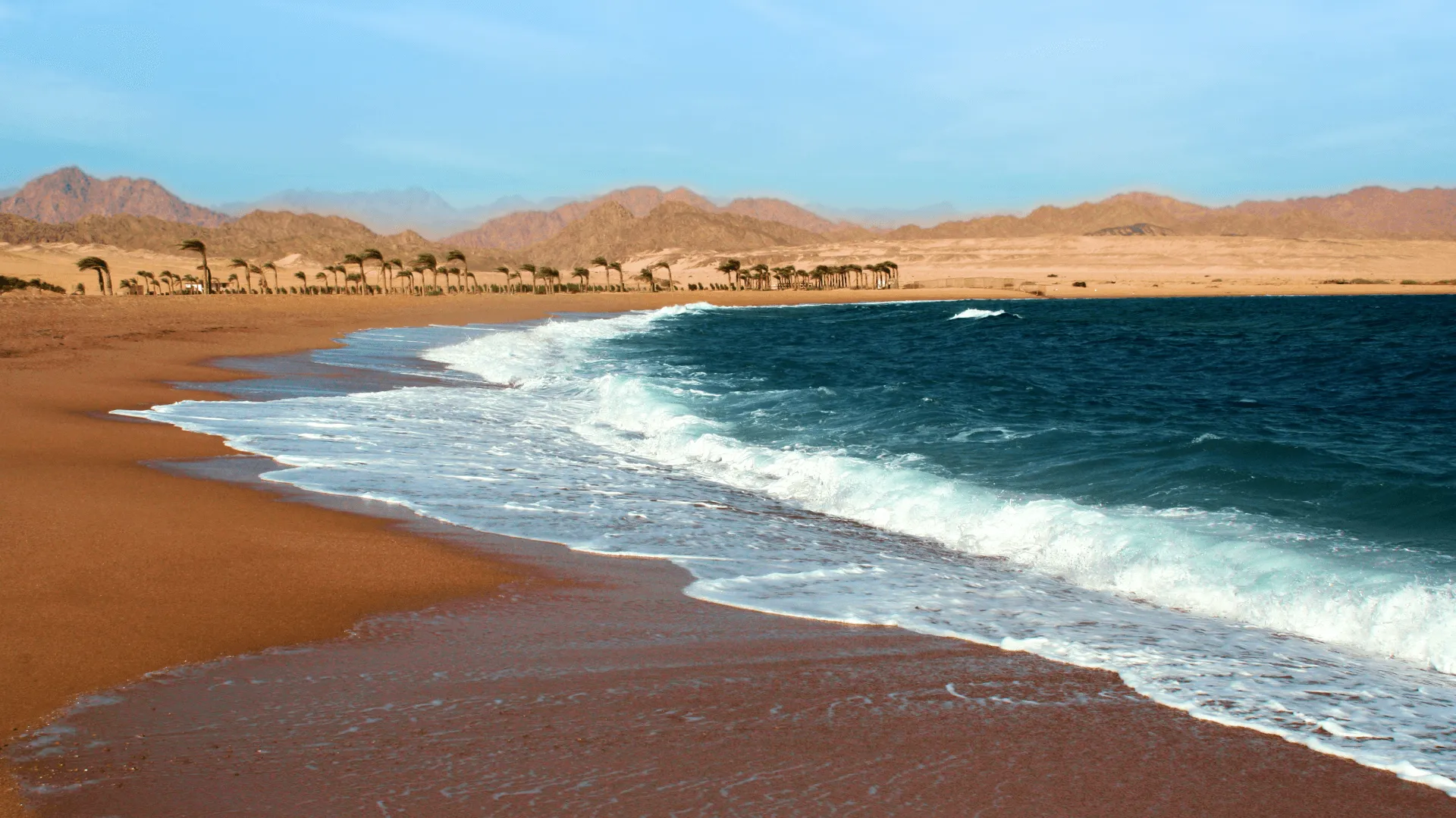 Nabq Bay