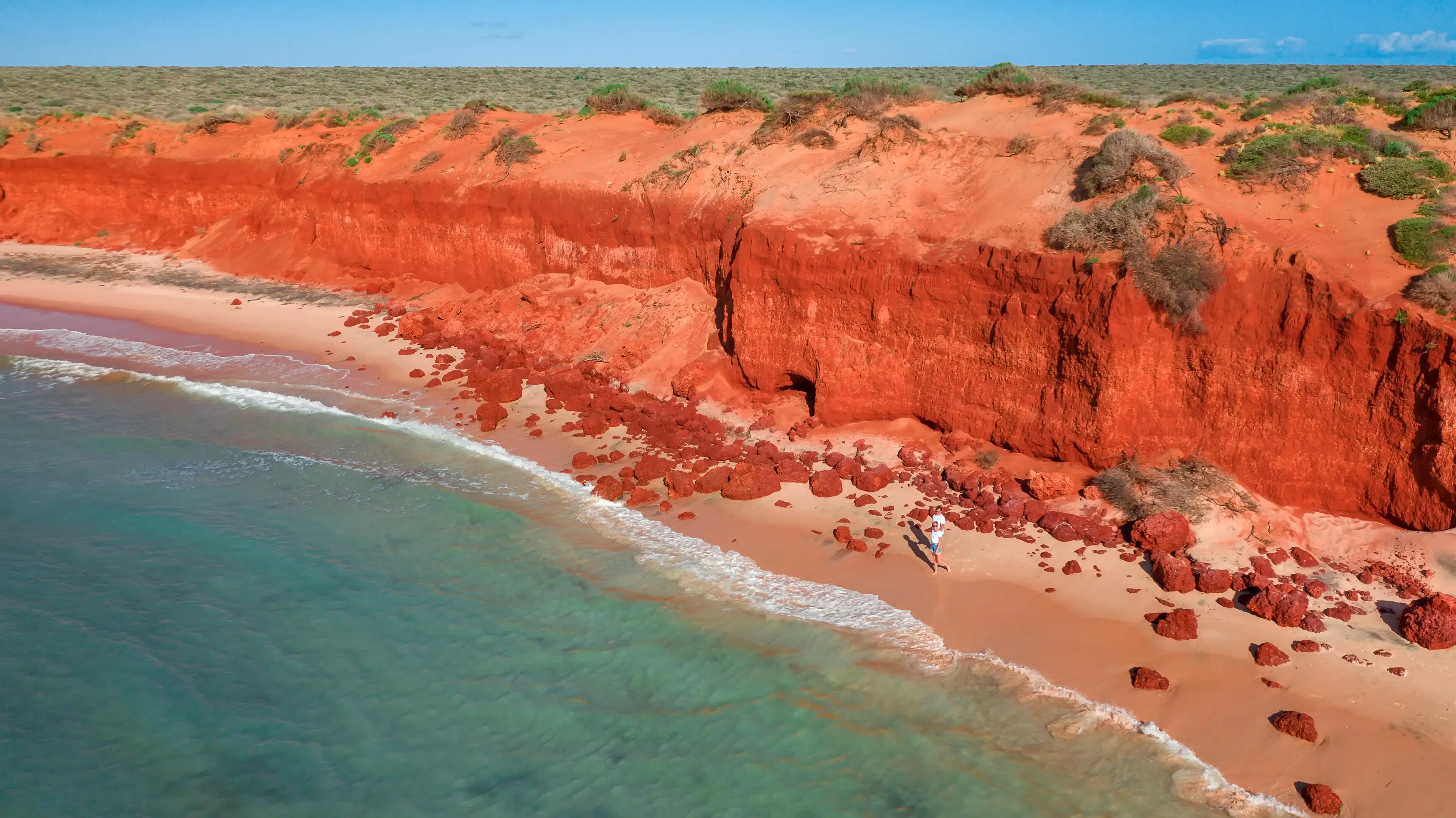 Sharks Bay