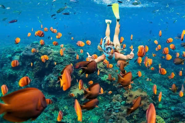 Spend It on Water | Reefs and Boats in Sharm in June
