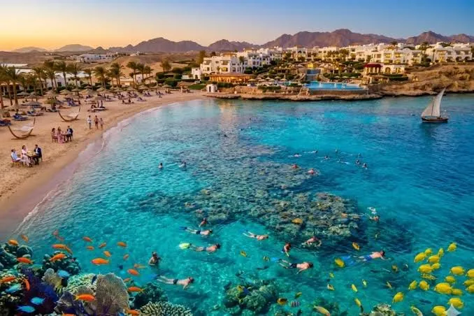 Sharm El Sheikh in May: The Numbers Behind Every Decision
