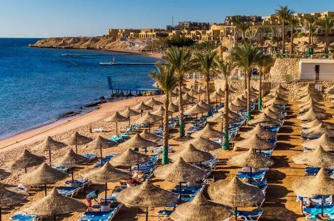 Activities That Shine in Sharm El Sheikh Christmas Weather