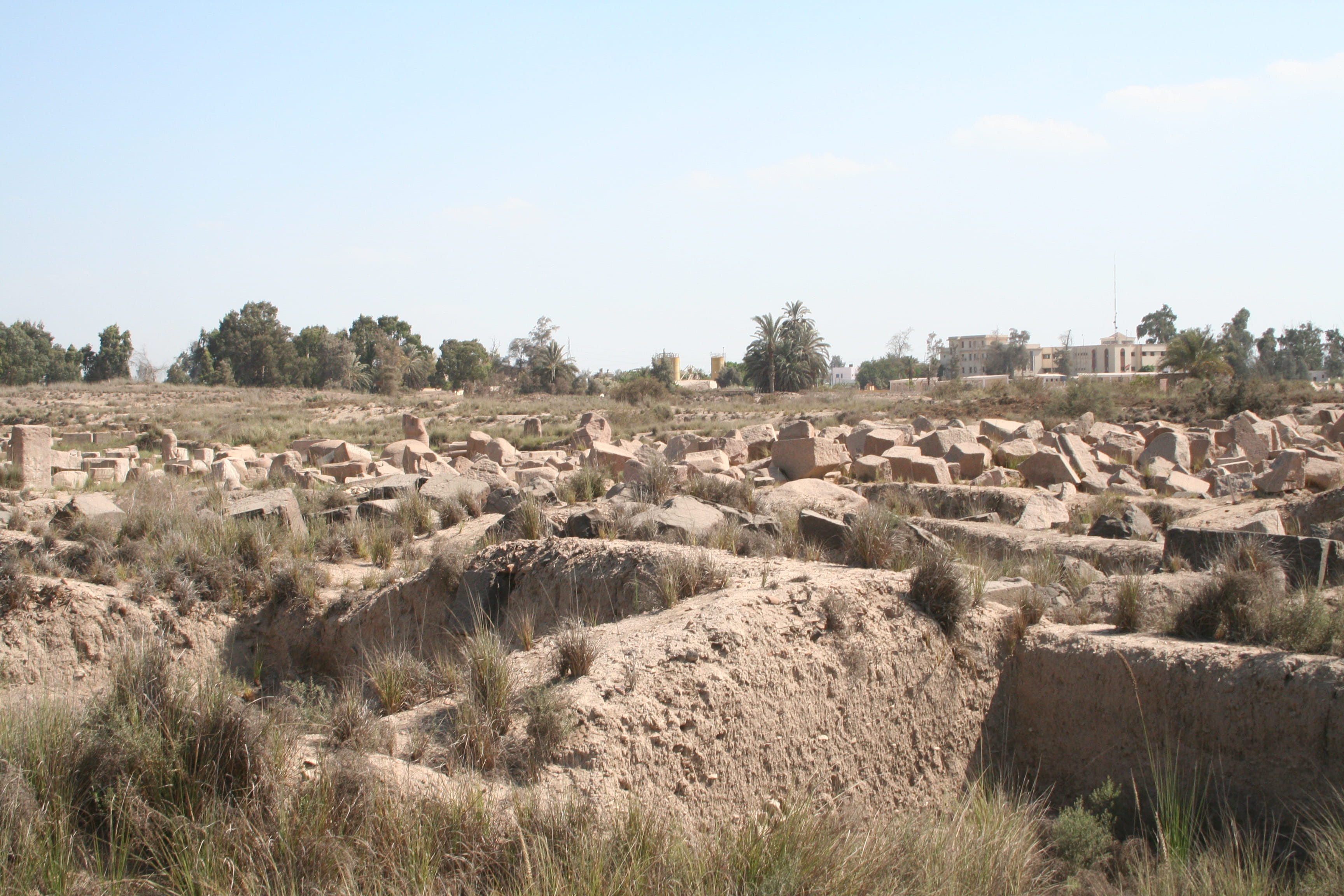 Church of St Mark: Alexandria’s Historic Site