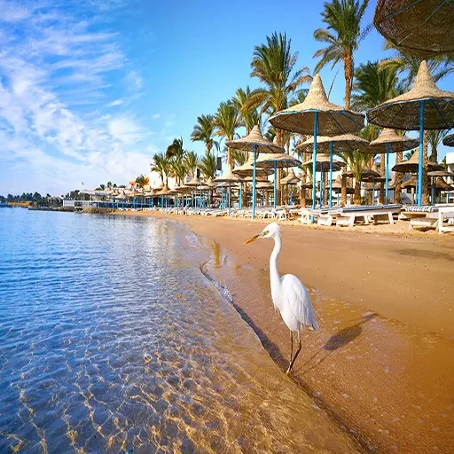 12-Day Egypt Easter Vacation Cairo Nile Cruise & Hurghada Luxury Package