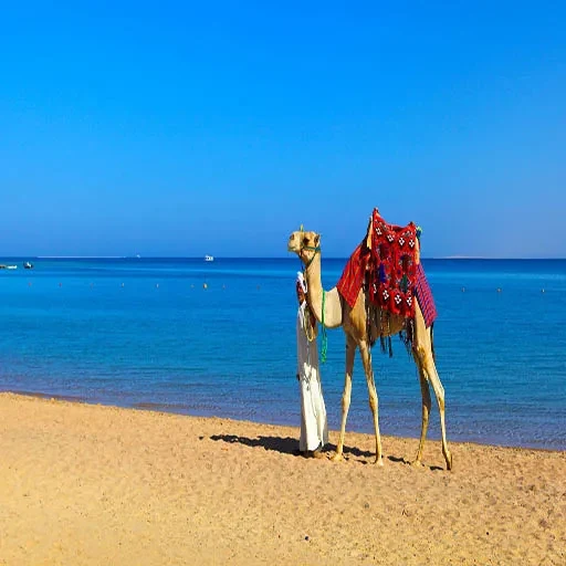 3 Weeks Egypt Holiday Package The Ultimate 21-Day Pharaonic & Sinai Expedition